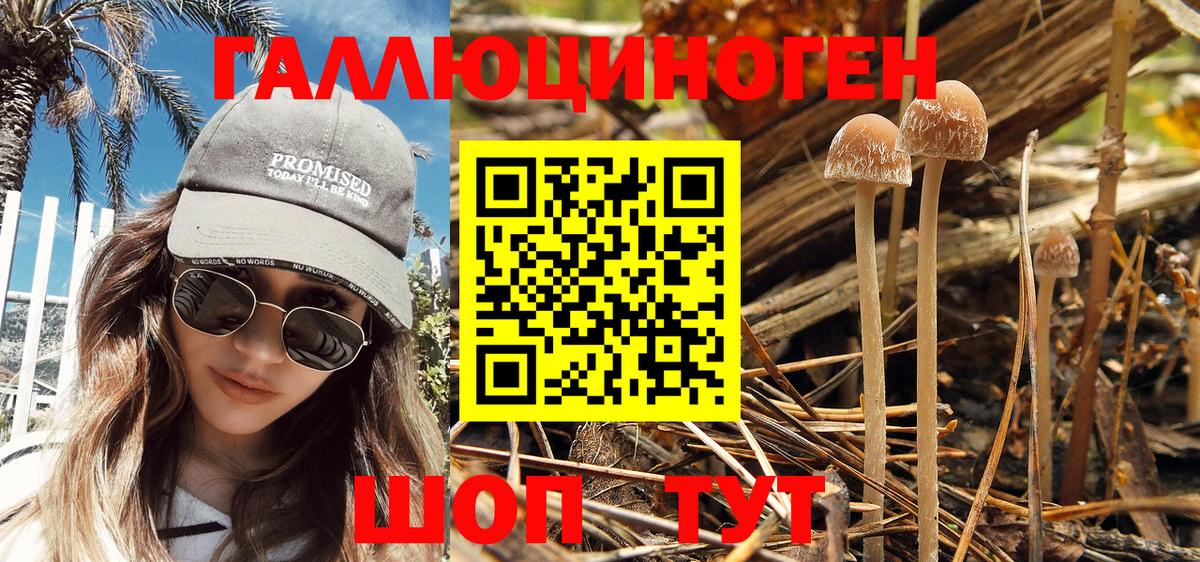 Тобольск  Галлюциногенные грибы Magic Shrooms  Вход с VPN 